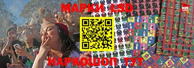 стаф Краснодар