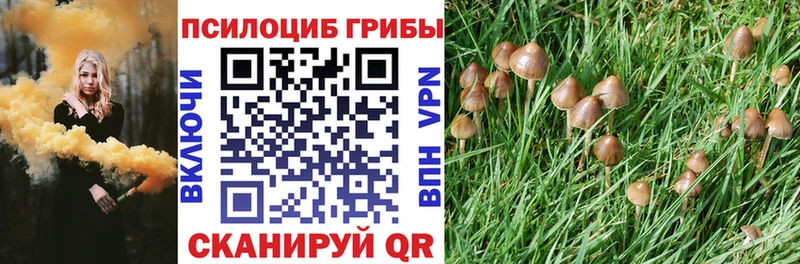купить наркотик  Бутурлиновка  Псилоцибиновые грибы прущие грибы 