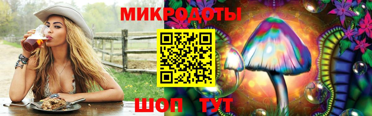 Псилоцибиновые грибы Psilocybe Бутурлиновка